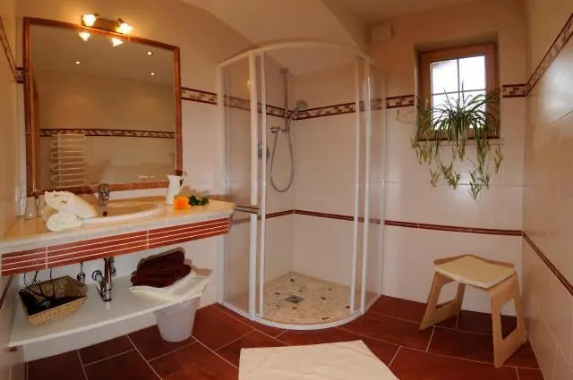 Апартаменты Zechmann Rohrmoos